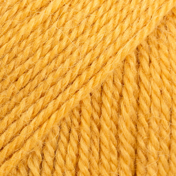2923-2.jpg