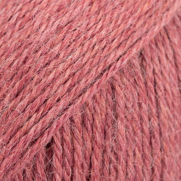 9024-2.jpg