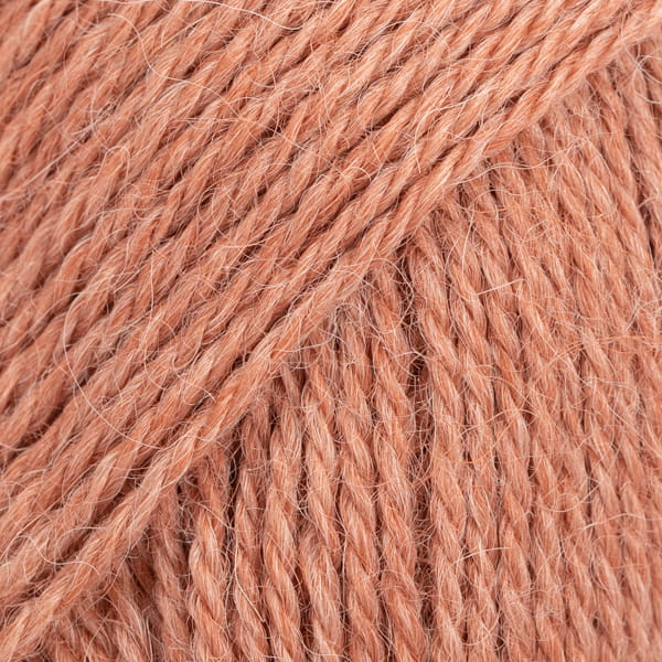9026-2.jpg