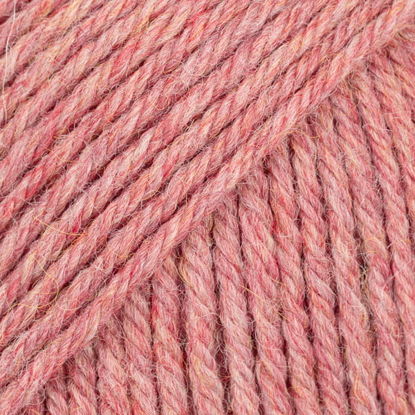 9022-2.jpg